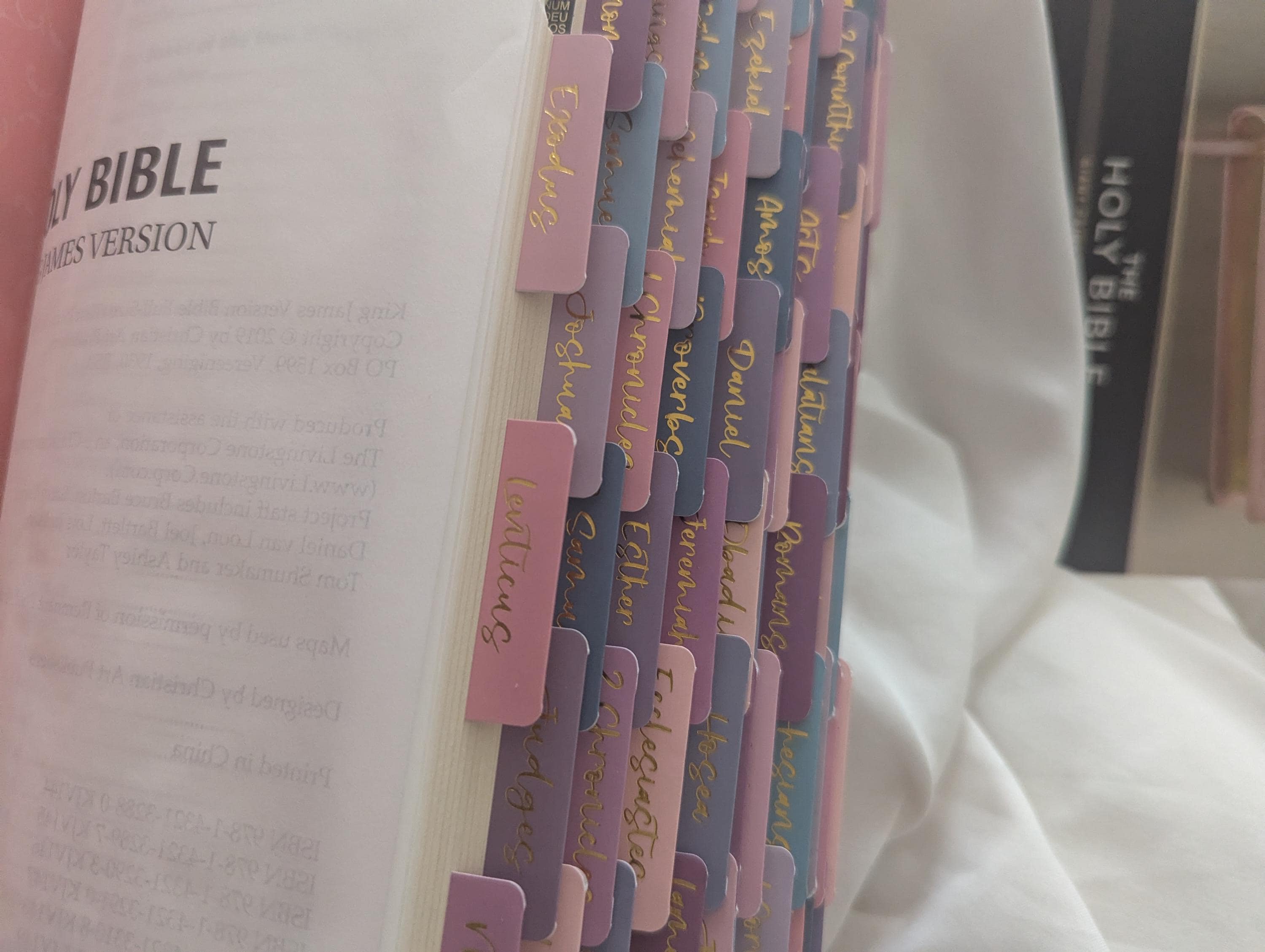 Beautiful KJV Pink LeatherSoft Giant Print Bible with Pink Ombre Tabs and Personalized with Name