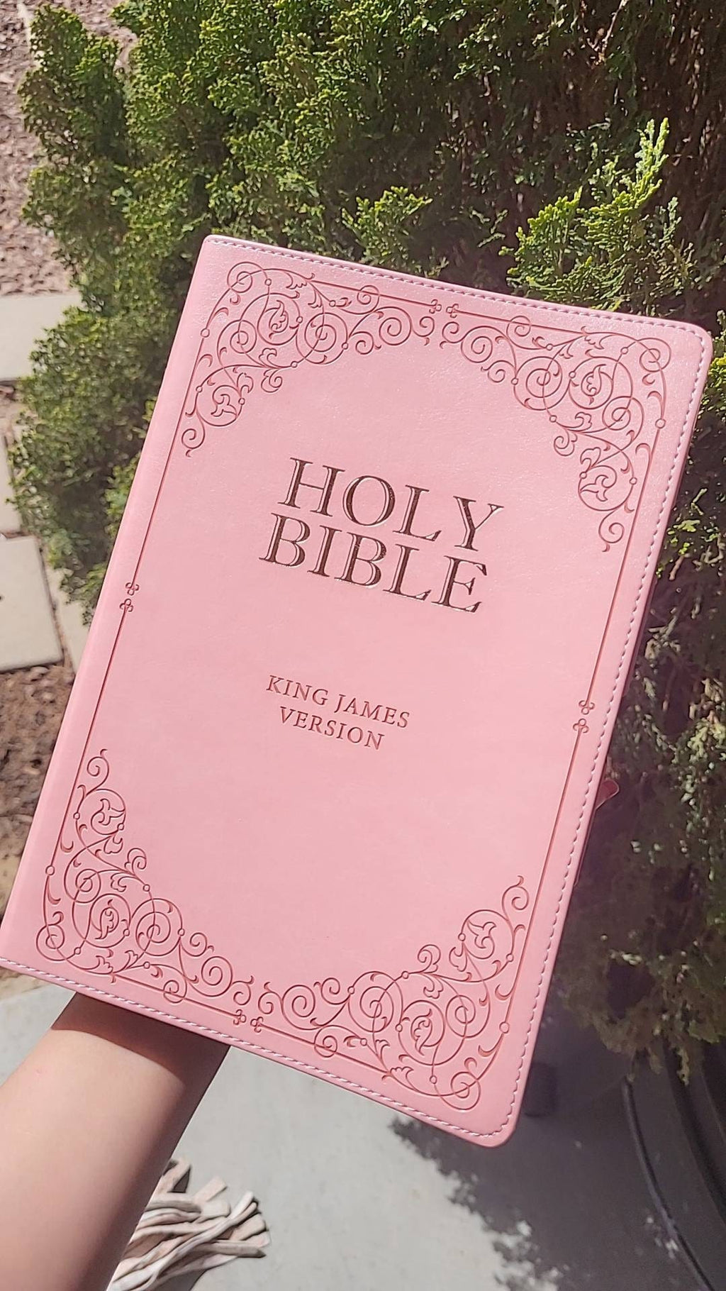 Beautiful KJV Pink Leather Soft Giant Print Bible with Ombre Tabs