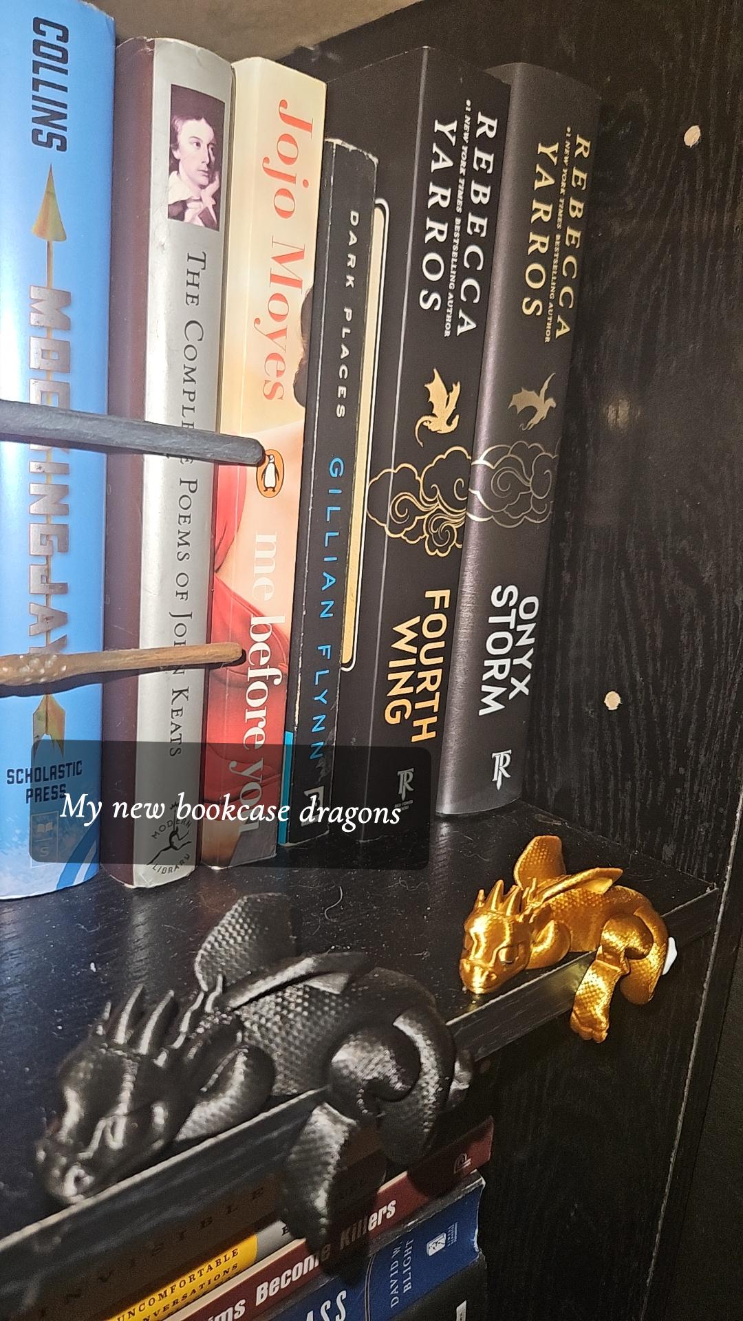 Sleeping Dragon Bookshelf Sitter | Dragon Bookshelf Decor | Multicolor Dragon Figurine | Fourth Wing Inspired | Black and Gold Dragons