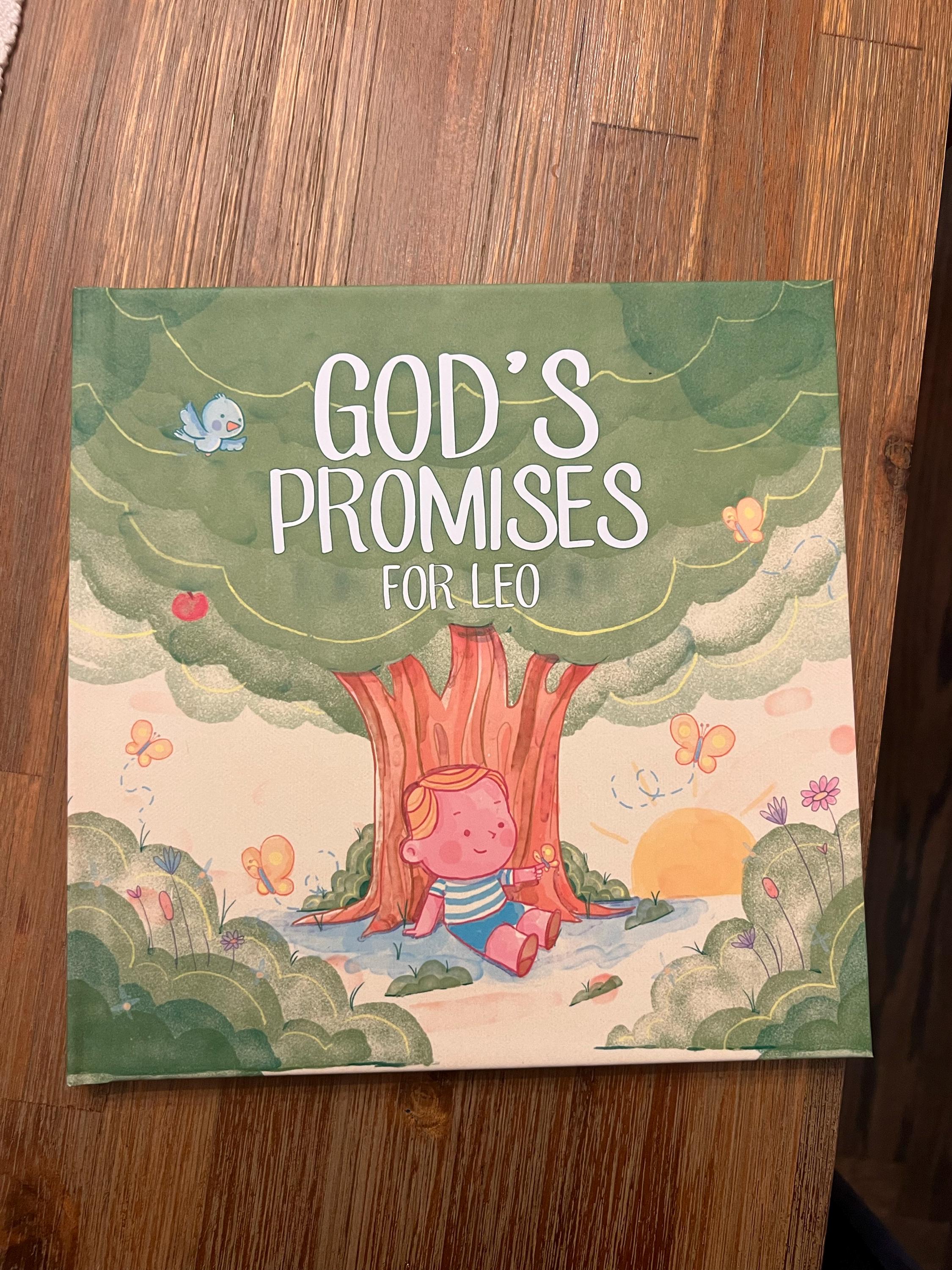 Baptism Gift, Christening Gift, Personalized Bible Verse, God's Promises, Boy or Girl Baptism Gift, Baby Dedication Gift, Baptism Keepsake