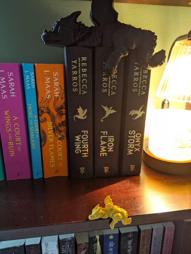 Sleeping Bookshelf Dragon | Empyrean Series, Fourth Wing Decor | 3D Printed Gift, Good Reads, Adorable Cute Decoration, Bookis