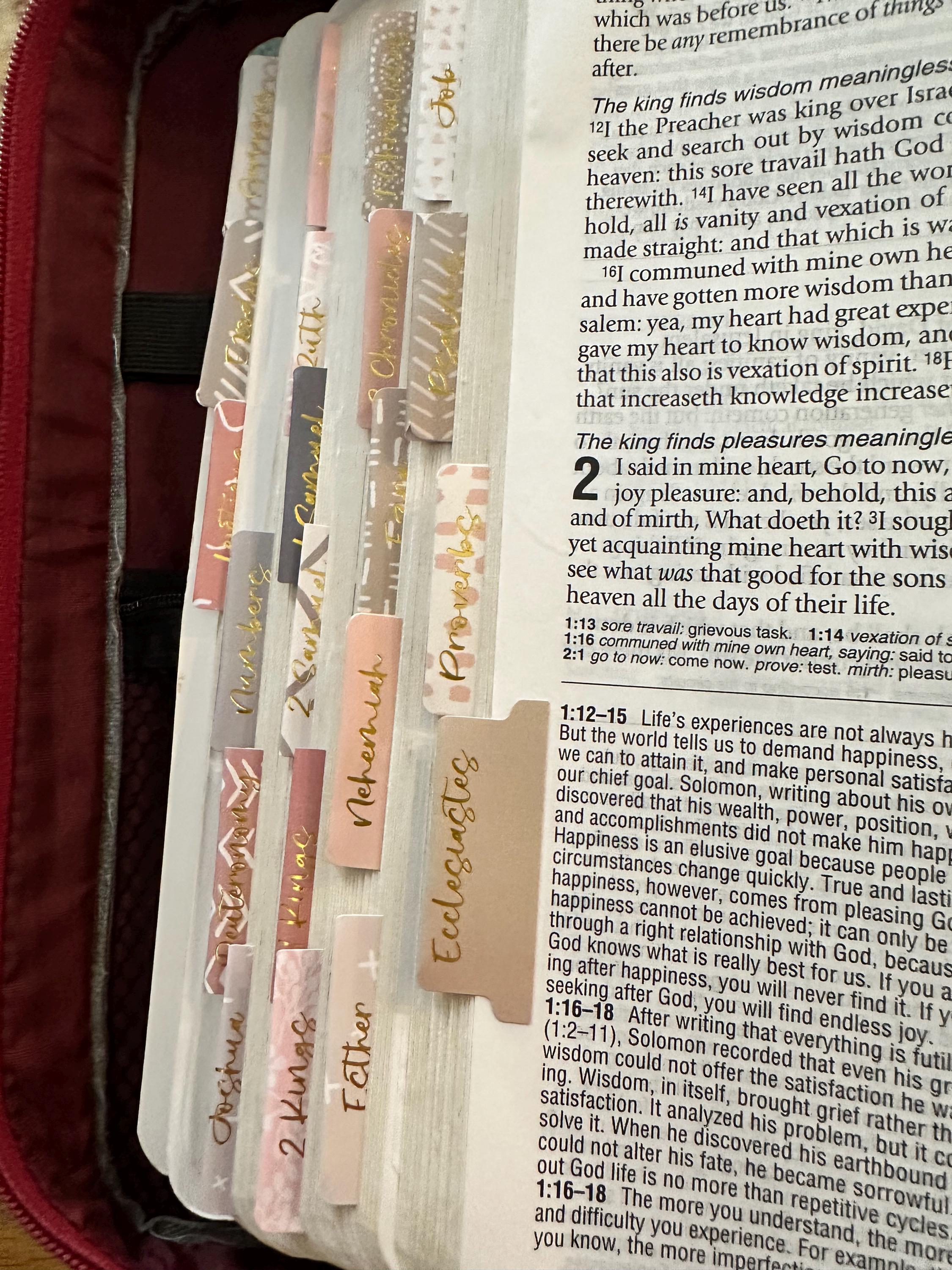 Bible Tabs | Laminated Bible Tabs | Tabs for the Bible | Pretty Bible Tab | Gifts for Christian Women | Bible Index Tabs with Gold Letters
