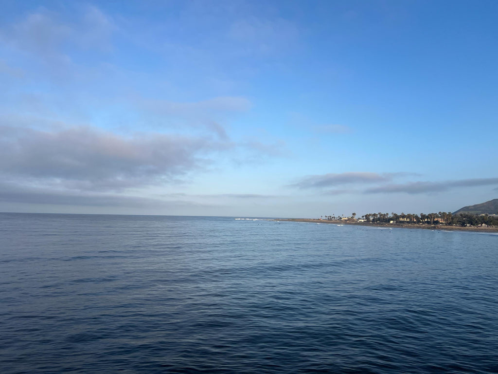 Christian Men's Shirt, He Left 99 to Come Find Me Shirt, Bible Verse Tee, Religious Shirt for Men, Inspirational Faith Tee, Christian Shirt