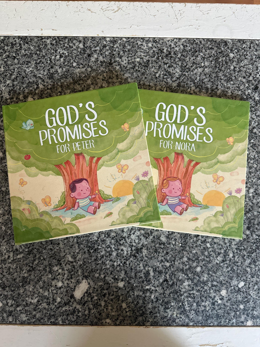 Baptism Gift, Christening Gift, Personalized Bible Verse, God's Promises, Boy or Girl Baptism Gift, Baby Dedication Gift, Baptism Keepsake