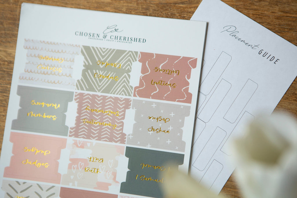 Bible Tabs | Laminated Bible Tabs | Tabs for the Bible | Pretty Bible Tab | Gifts for Christian Women | Bible Index Tabs with Gold Letters