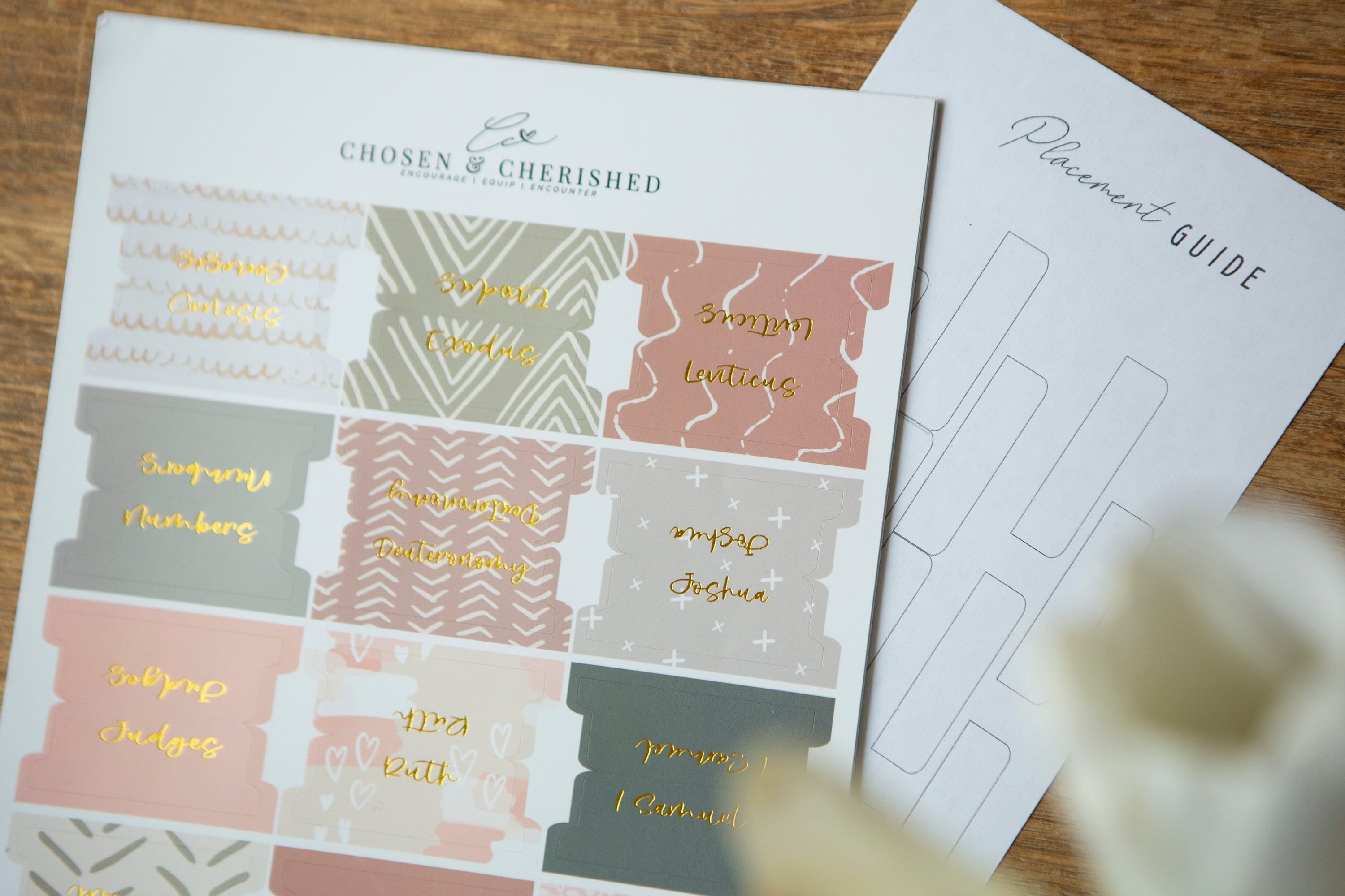 Bible Tabs | Laminated Bible Tabs | Tabs for the Bible | Pretty Bible Tab | Gifts for Christian Women | Bible Index Tabs with Gold Letters