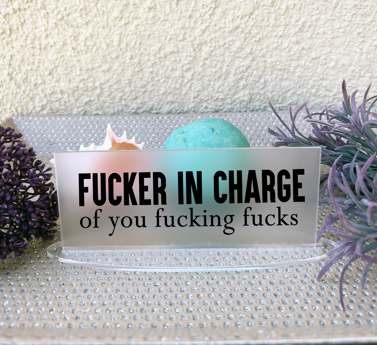 Fucker in Charge Frosted Clear Desk Sign, Funny Name Plate, Boss Gag Gift, Funny Boss Sign, Gag Gift, Boss Christmas Gift, Mother's Day Gift