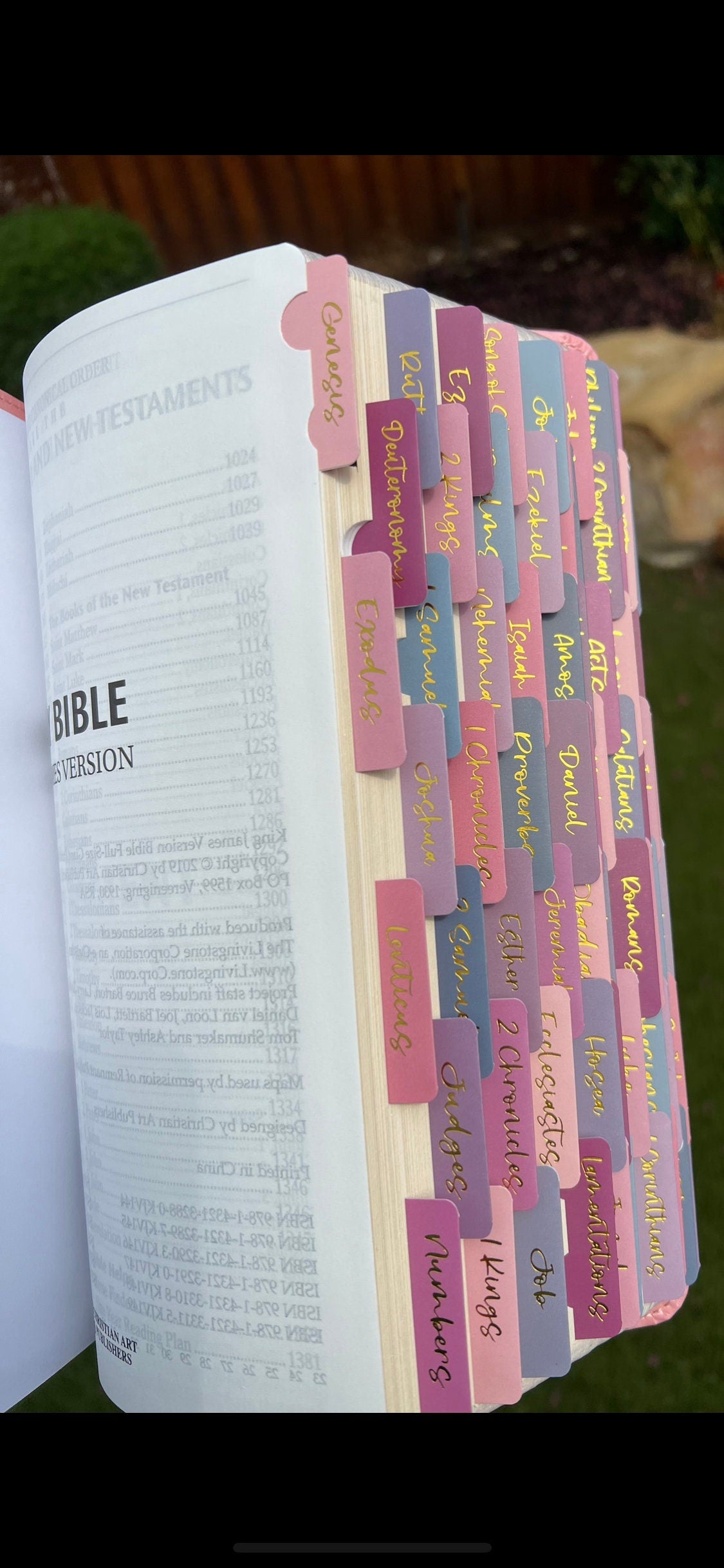 Beautiful KJV Pink Leather Soft Giant Print Bible with Ombre Tabs