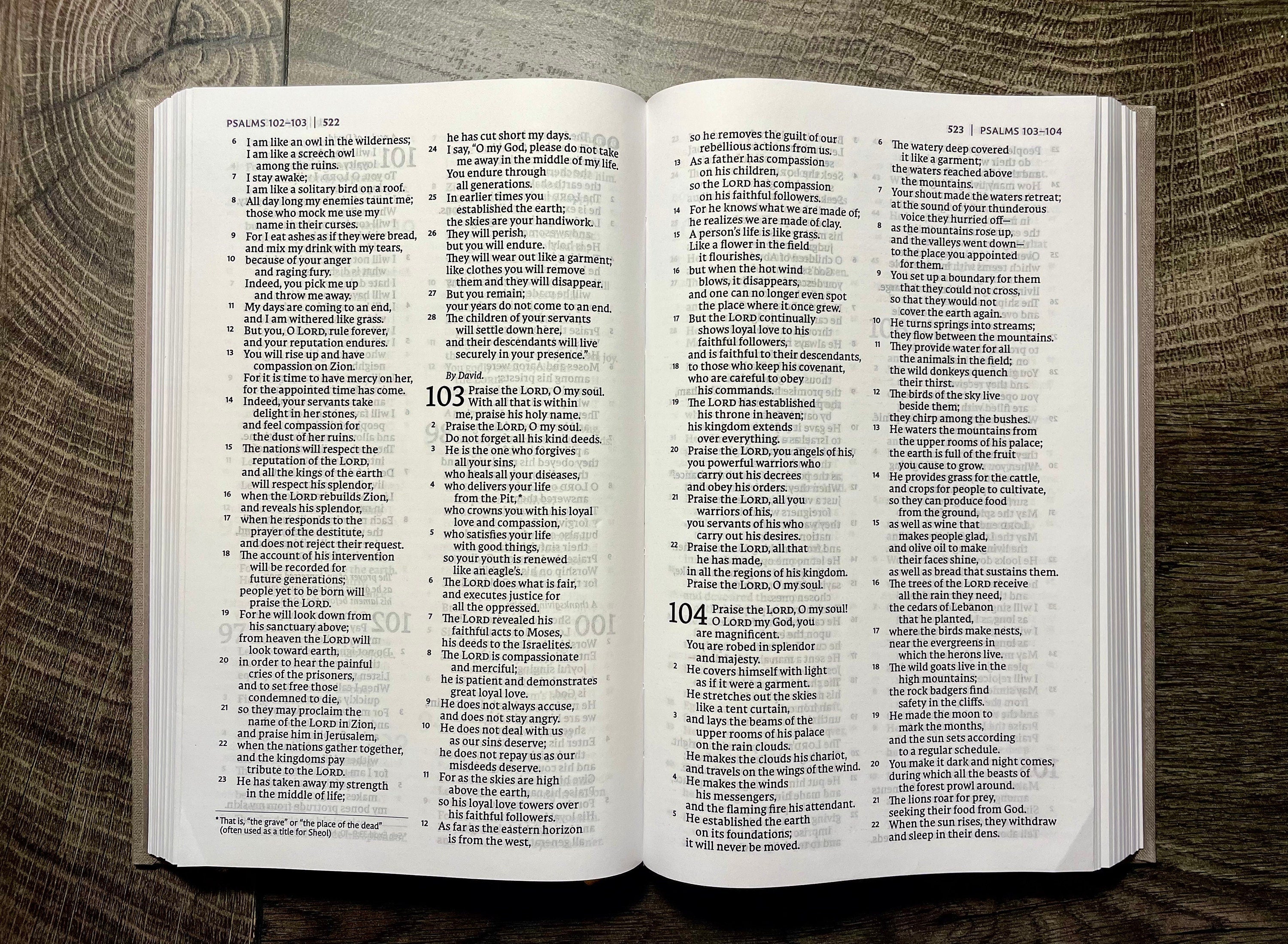 Custom Hand Painted Bibles, Confirmation Gift, Wedding Bible, Family Bible, Mother's Day Gift, She Reads Truth Bibles, Teen Bible