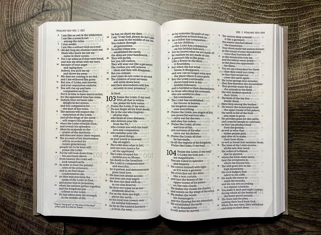 Custom Hand Painted Bibles, Love Shack Fancy, Confirmation Gift, Wedding Guestbook, Mother's Day Gift, She Reads Truth Bibles, Teen Bible