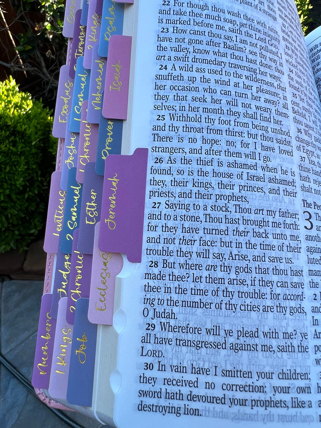 Beautiful KJV Pink LeatherSoft Giant Print Bible with Pink Ombre Tabs and Personalized with Name