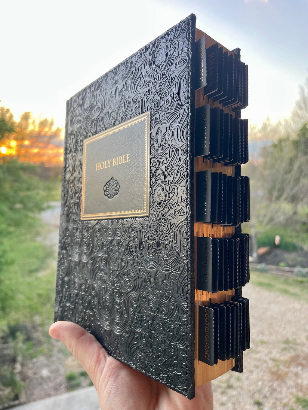 Beautiful Tabbed KJV Bible, Black and Gold Bible, Journaling KJV Bible