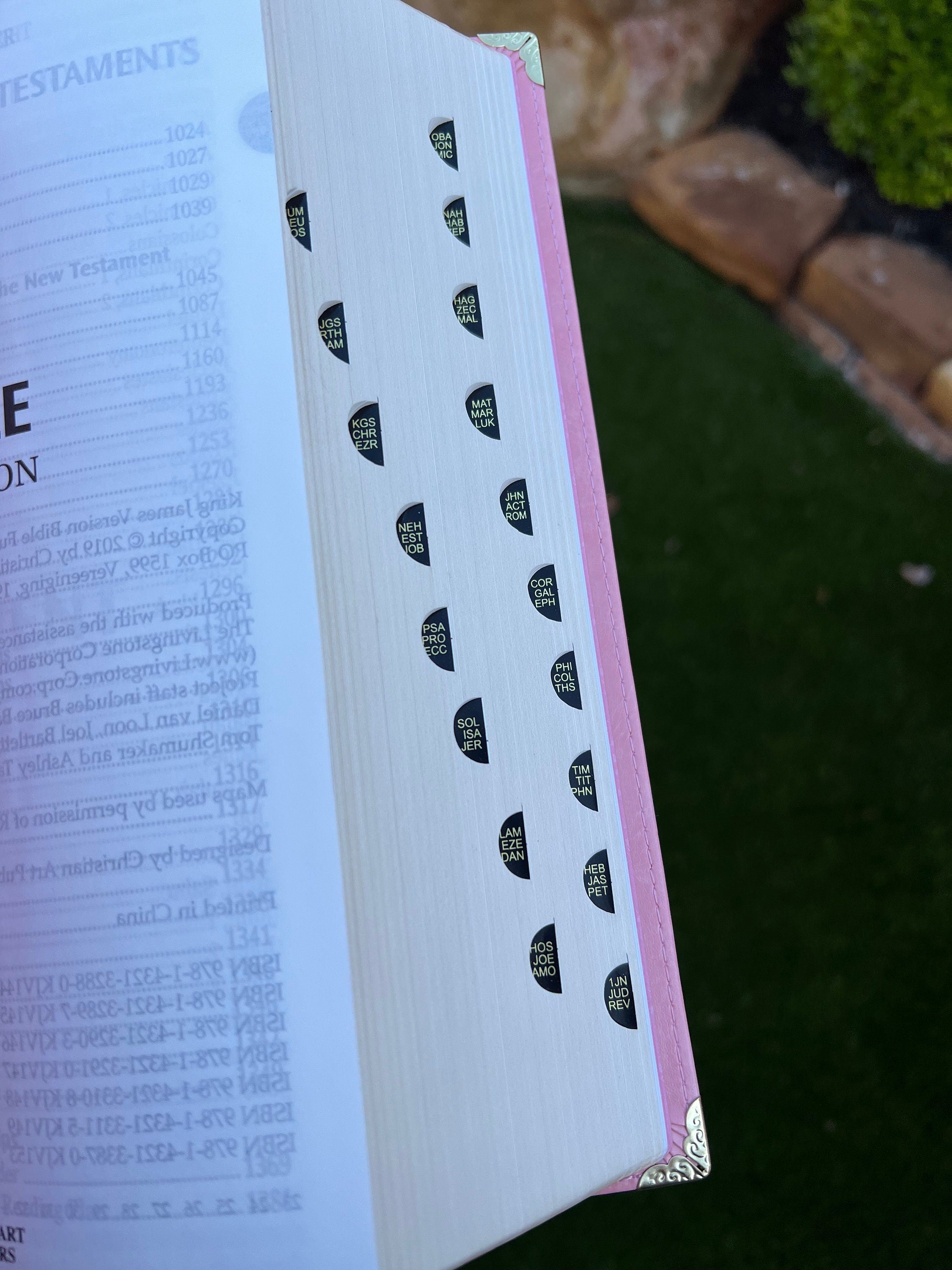 Beautifully Simple KJV Pink Leather Soft Giant Print Bible with Decorative/ Protective Gold Corners and Custom Name Option