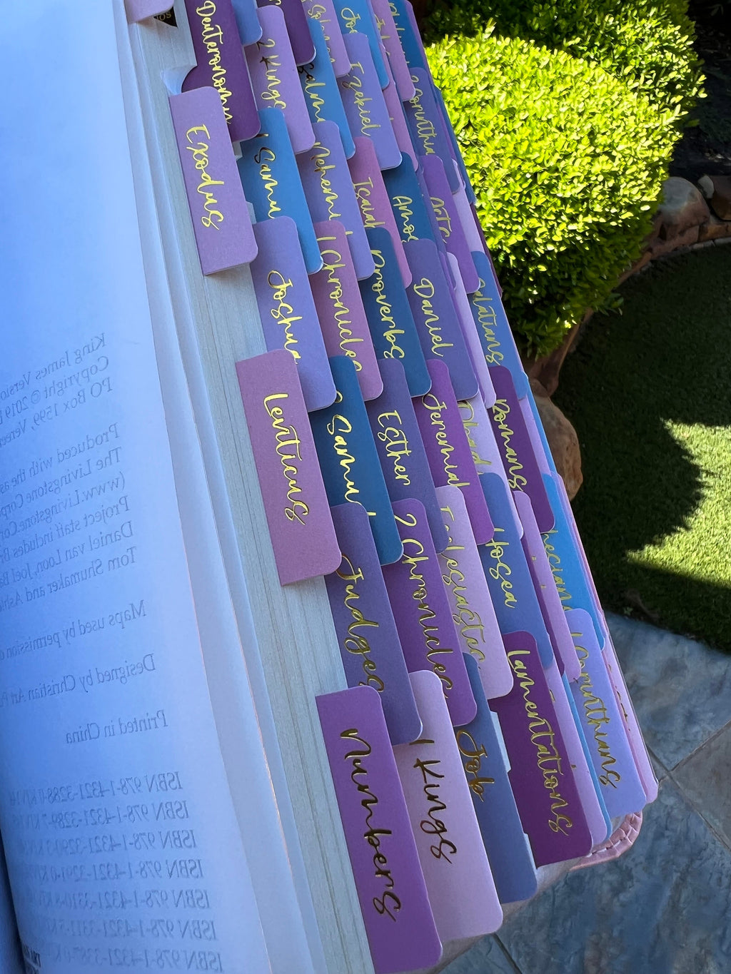 Beautiful KJV Pink LeatherSoft Giant Print Bible with Pink Ombre Tabs and Personalized with Name