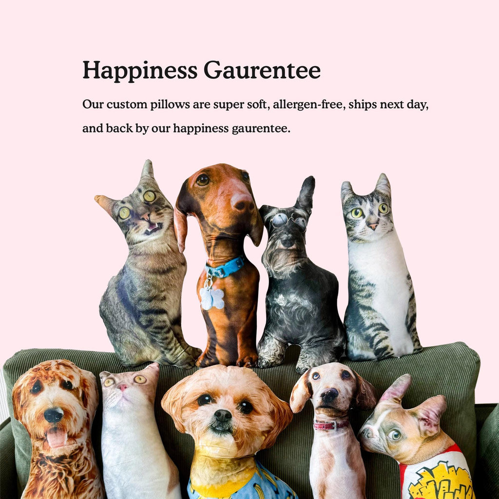 Personalized Pet Pillow, Custom 3D Pet Pillow, Ugly Pet Pillow, Pet Shaped Pillow, Pet Lover Gift, Gift for Cat Lover, Back to School Gift