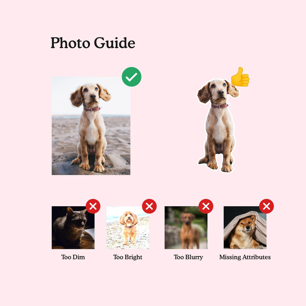 Personalized Pet Pillow, Custom 3D Pet Pillow, Ugly Pet Pillow, Pet Shaped Pillow, Pet Lover Gift, Gift for Cat Lover, Back to School Gift