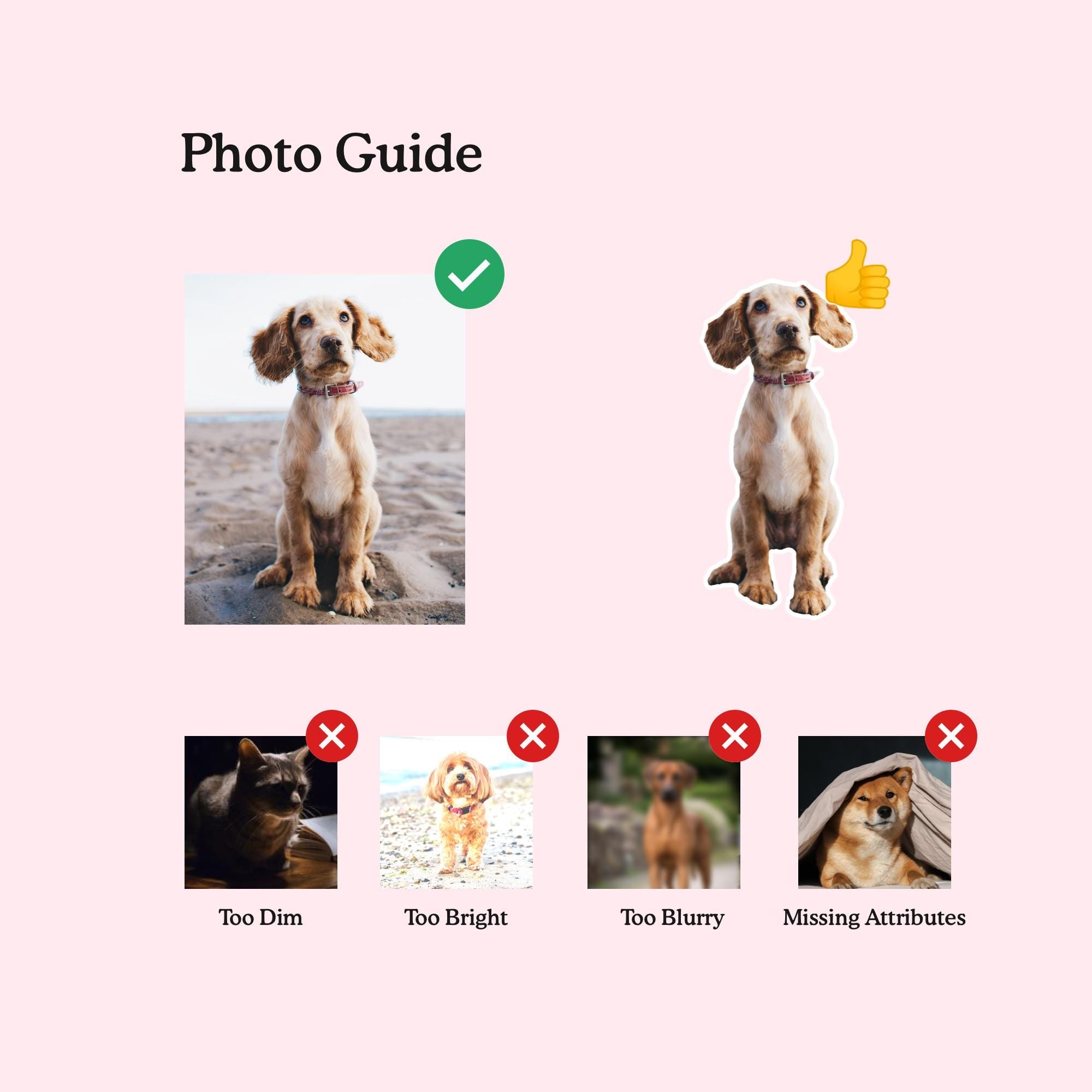 Personalized Pet Pillow, Custom 3D Pet Pillow, Ugly Pet Pillow, Pet Shaped Pillow, Pet Lover Gift, Gift for Cat Lover, Back to School Gift