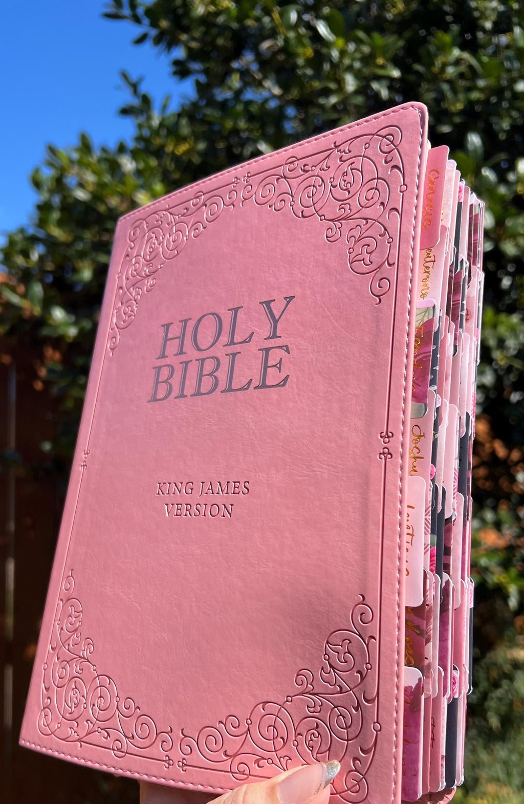 Beautiful KJV Pink LeatherSoft Giant Print Bible with Rose Tabs