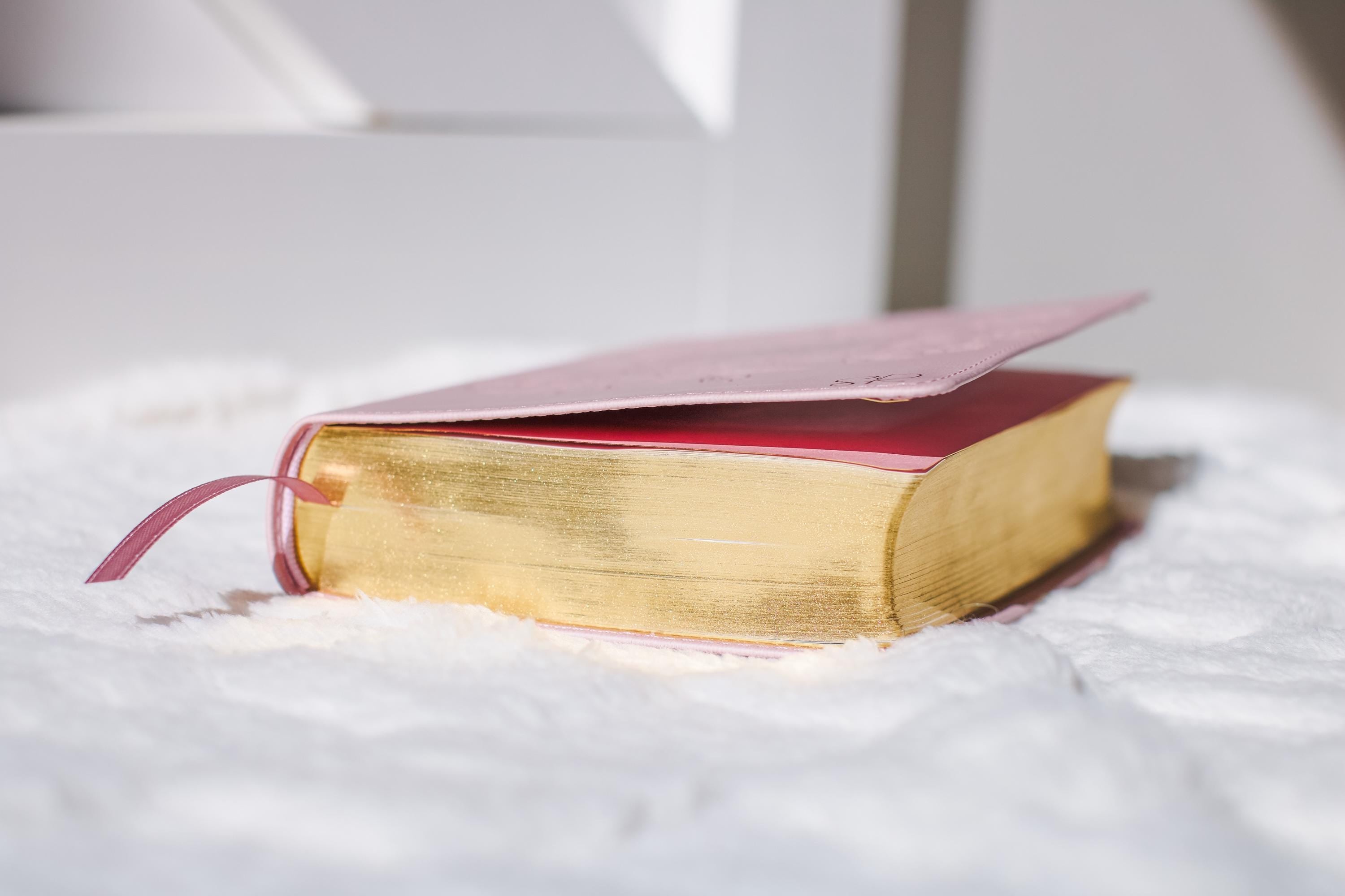 Custom Name Pink Bible with Name Engraved Customized Bible Gift for Women Bible Study Gift KJV Engraved Bible Gift for Christian Women