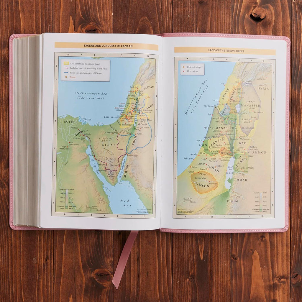 Custom Pink KJV Tabbed BIBLE with Tabs Christian Gift for Her Mom Women Girls Communion Baptism Catholic Study Confirmation Wedding Birthday