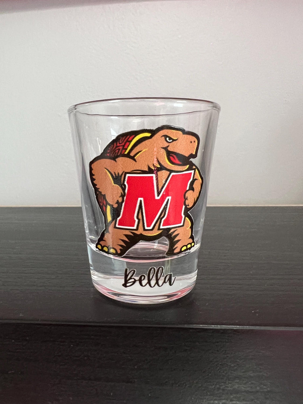 Personalized college shot glass. Custom shot glasses. Customized with college logo/mascot & name. College merch. All colleges available!