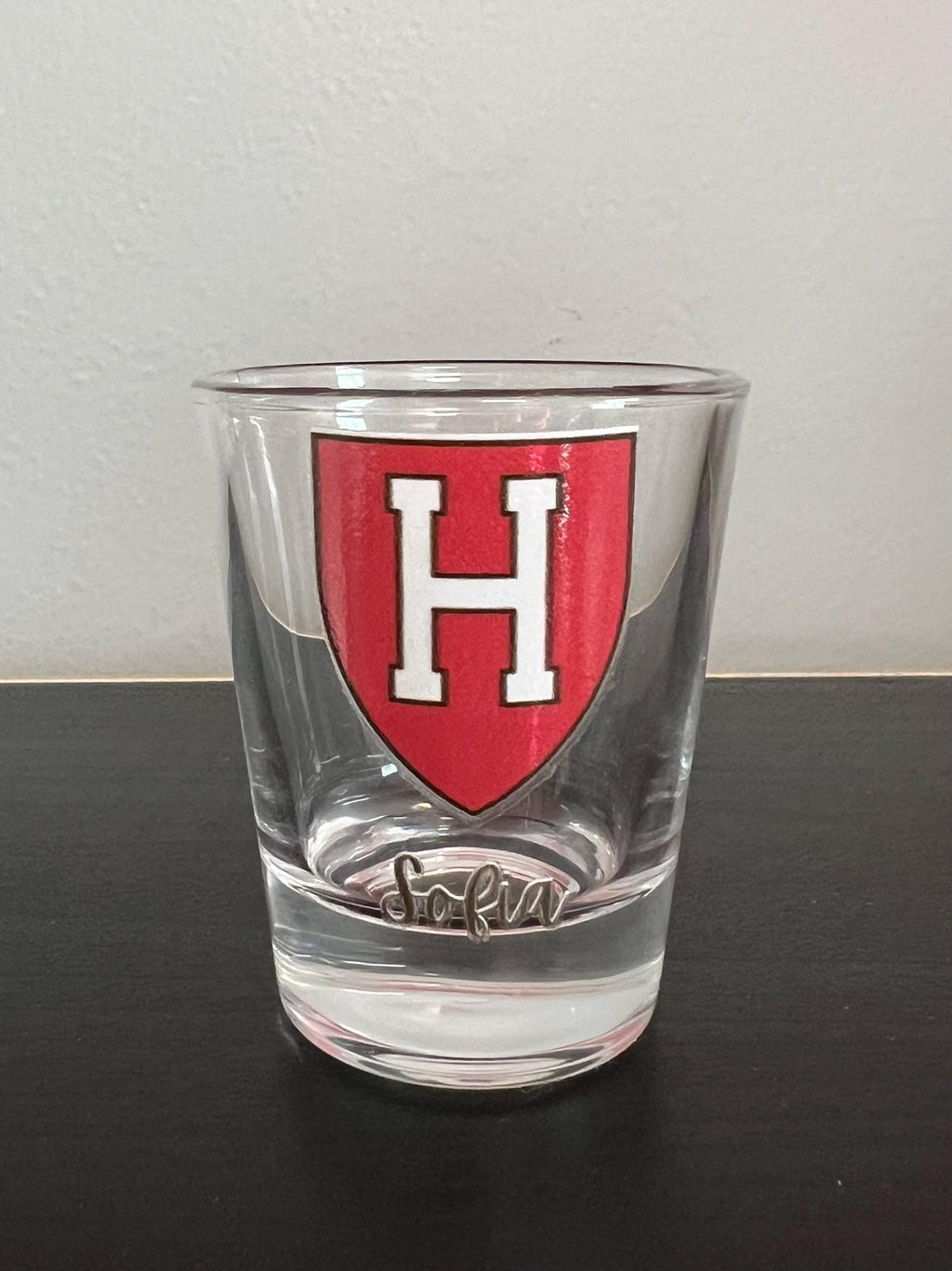 Personalized college shot glass. Custom shot glasses. Customized with college logo/mascot & name. College merch. All colleges available!