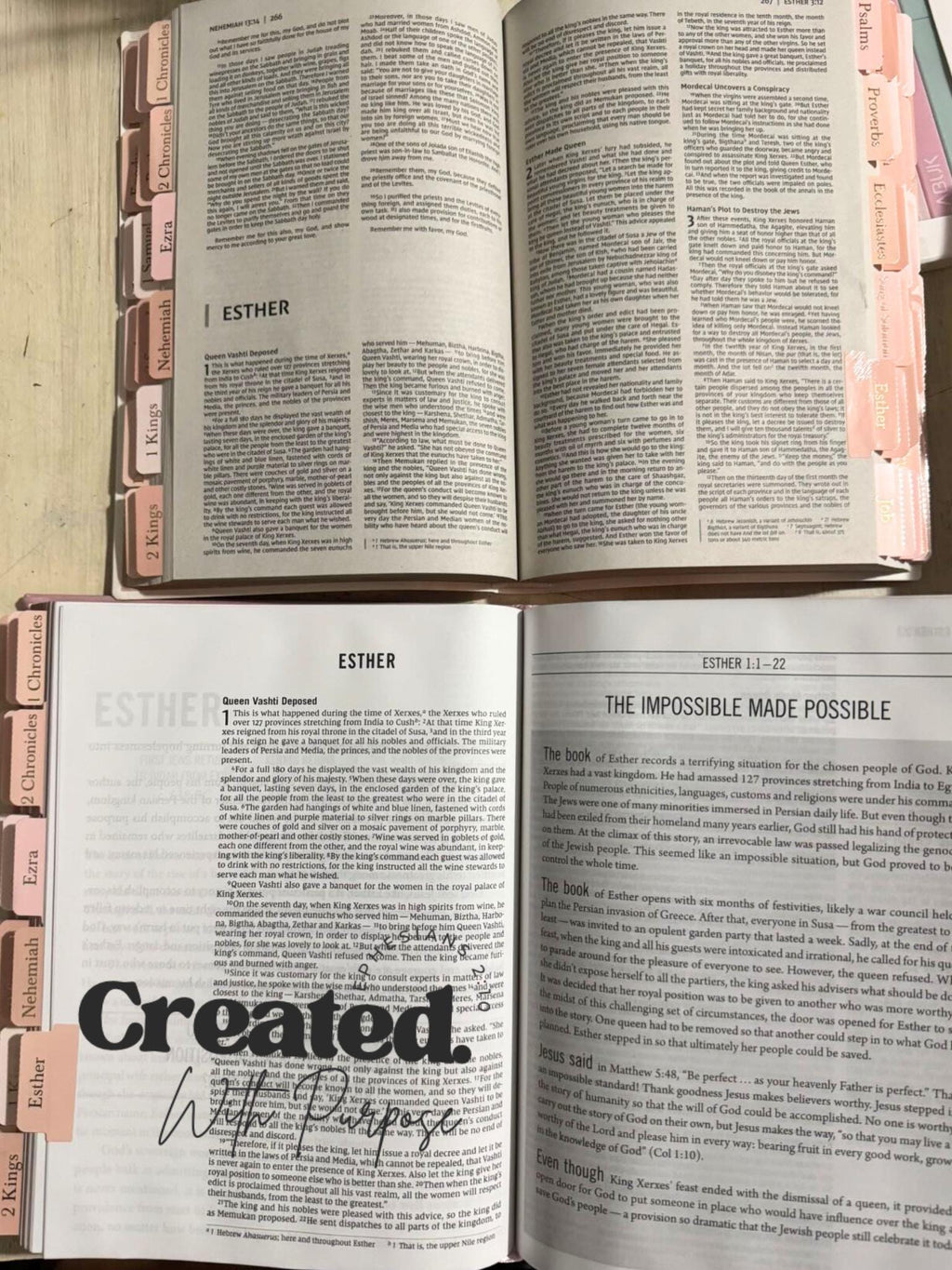 pink NIV JESUS BIBLE, Bible with tabs, personalized gifts, pink hard cover