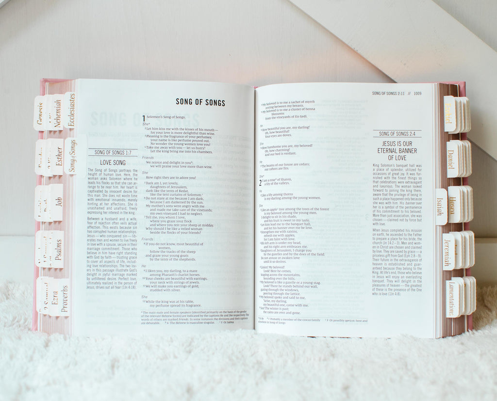 Custom Name Pink Bible NIV Tabbed Journaling Bible Gift For Her Christian Women Bible Study Gift Personalized Tabbed Bible with Tabs Custom
