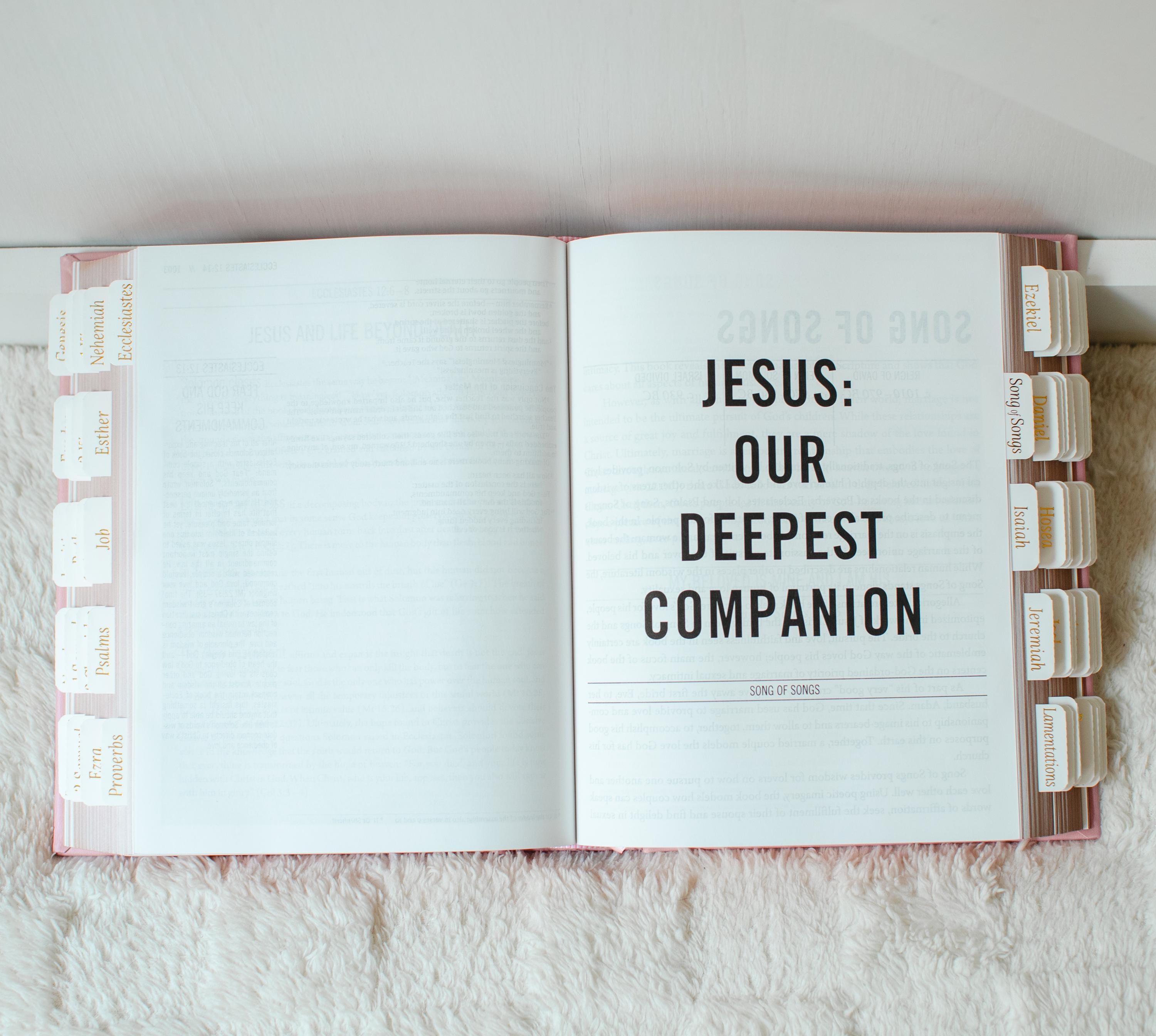 Custom Name Pink Bible NIV Tabbed Journaling Bible Gift For Her Christian Women Bible Study Gift Personalized Tabbed Bible with Tabs Custom